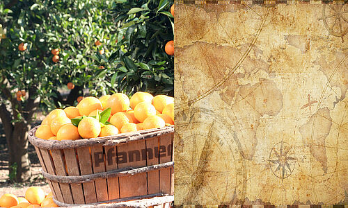 Orangenernte und Landkarte